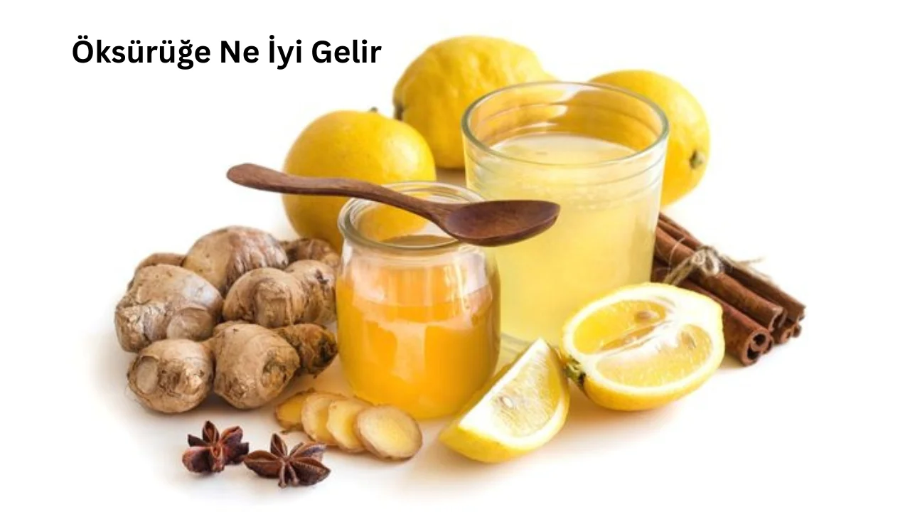 öksürüğe ne iyi gelir